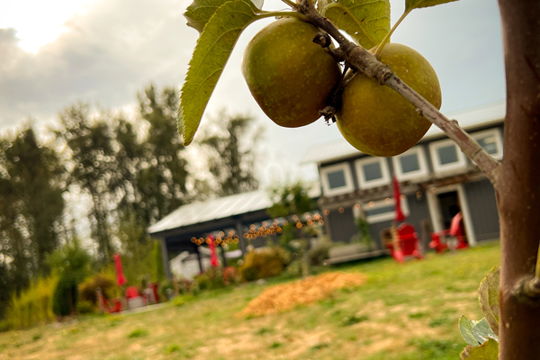 Fraser Valley Ciders